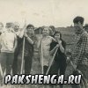 Силосование в Запоженье